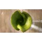Philips 5000 Series HR2500 Eco Conscious Edition Blender Silkehvid mat